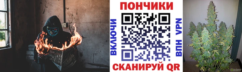 МАРИХУАНА семена  Купить  Кадников 